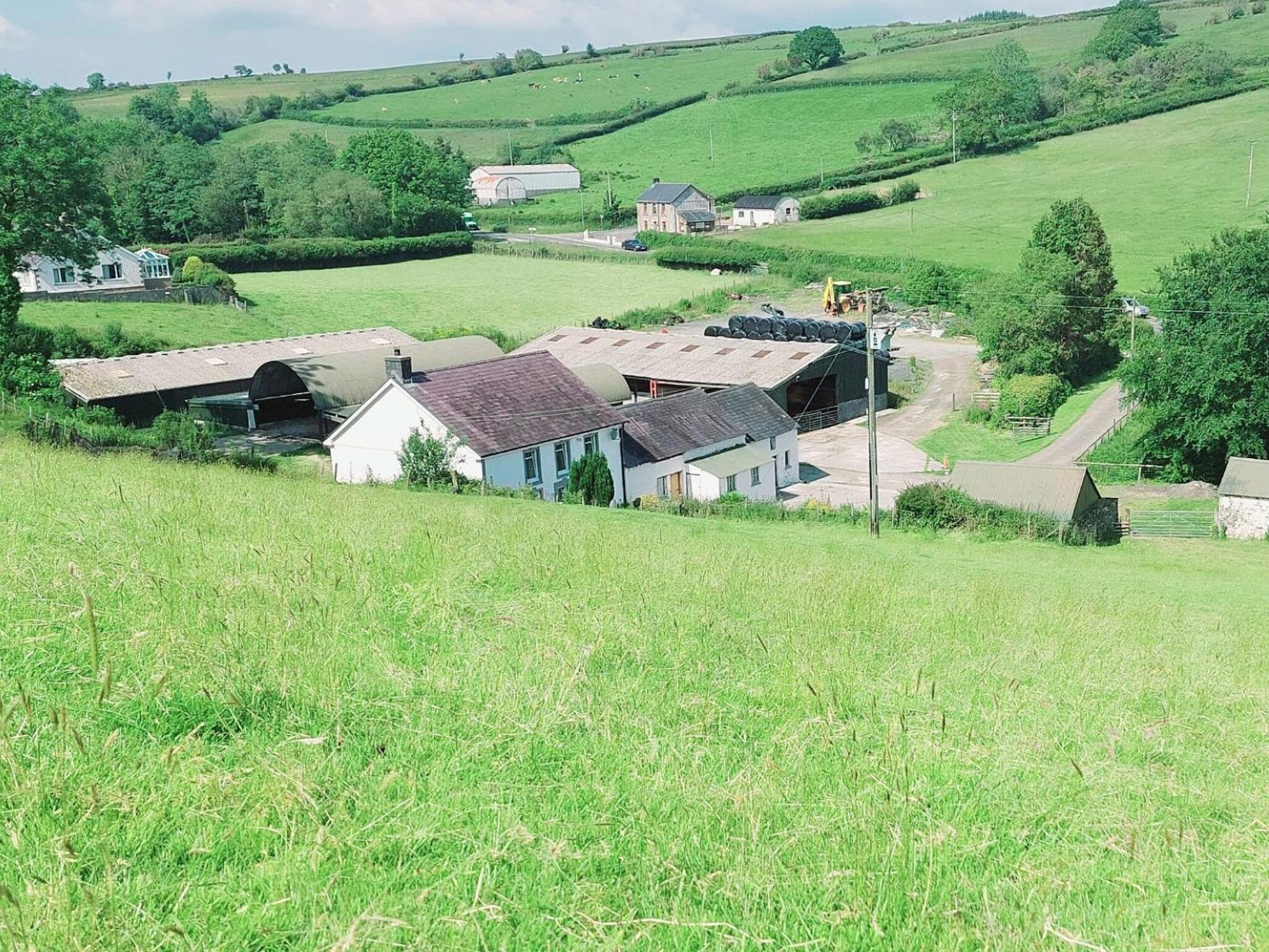 Typicca Farmhouse Brechfa Zewnętrze zdjęcie